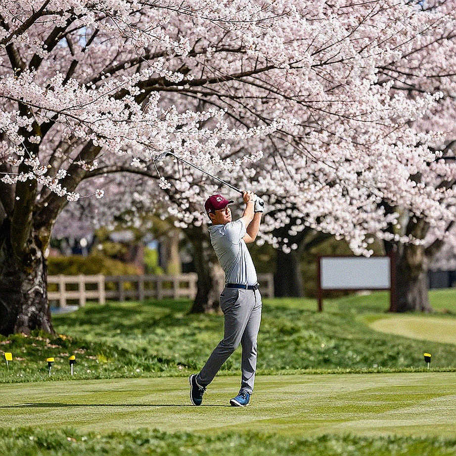 Golf Việt và khoảng trống dữ liệu: khi bảng điểm chỉ kể được một nửa câu chuyện