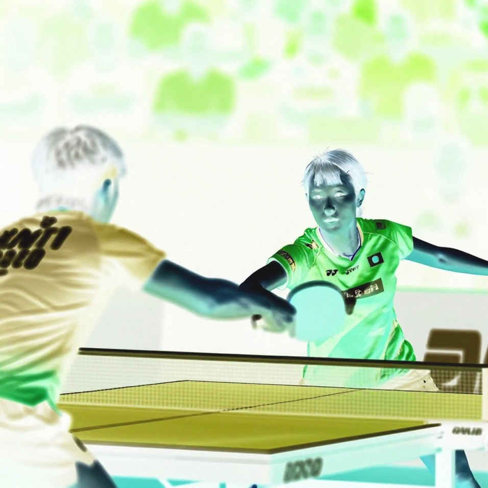 Chung kết French Open 2026: Sindhu gặp An Se Young và bài toán không nằm ở tâm lý