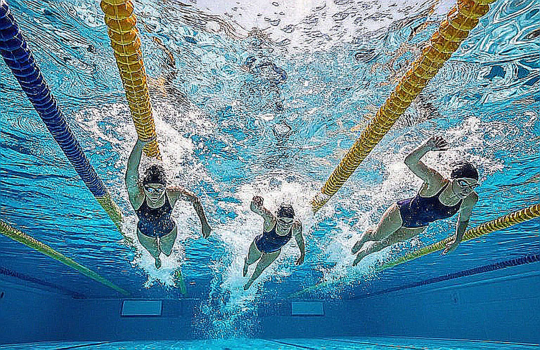 Một bài tập bơi không có kình ngư: Chuỗi 'thang bậc' của SwimSwam và cỗ máy nội dung đang định hình cách huấn luyện viên tập luyện