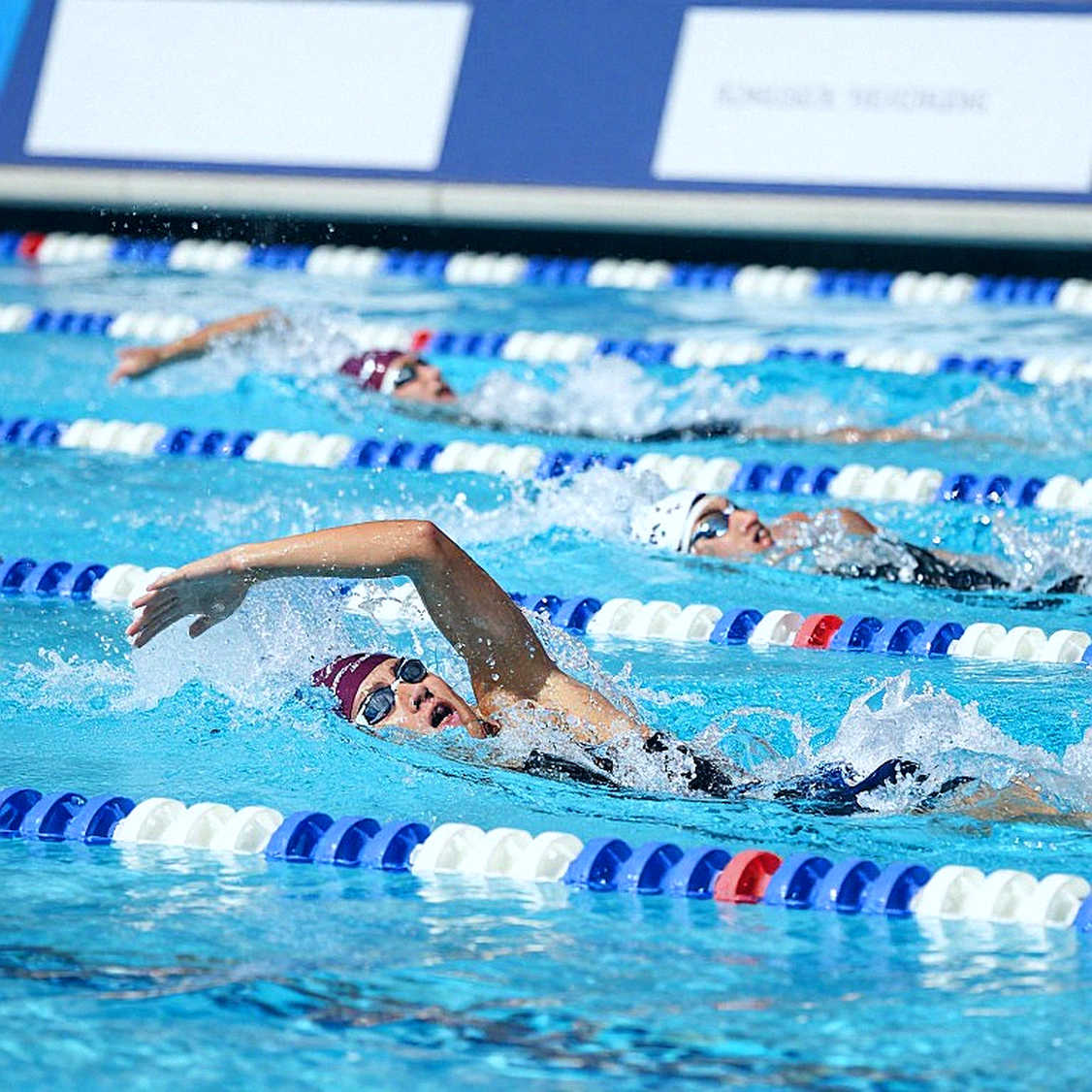 No Input Data for Swimming Technique Analysis No Input Data for Swimming Technique Analysis